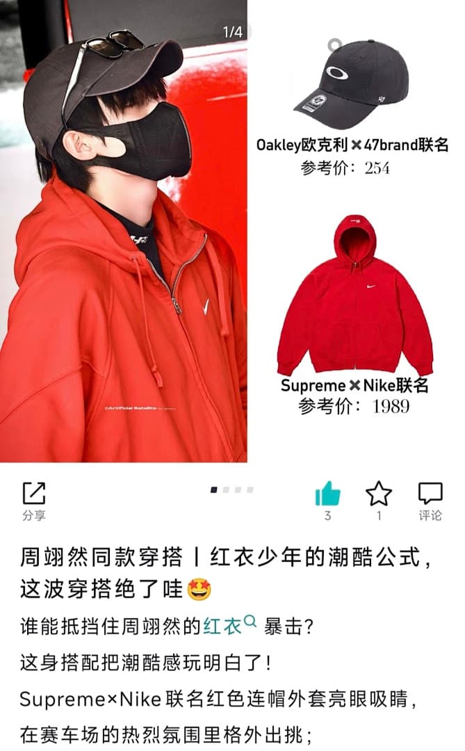 Supreme x Nike Sweatshirt foto 23
