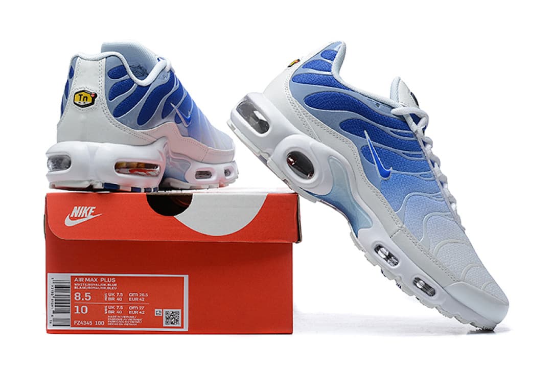 Nike Air Max TN — Grey Royal Blue foto 01