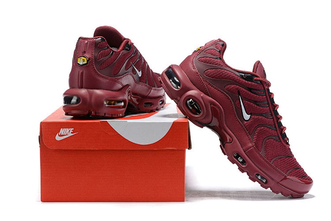 Nike Air Max Plus — Vinho Monocromático foto 01