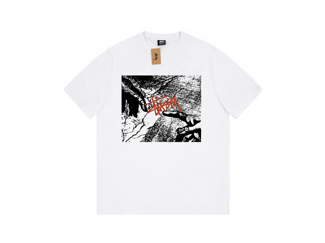 T-Shirt Stussy Michelangelo's Adam Fresco foto 01