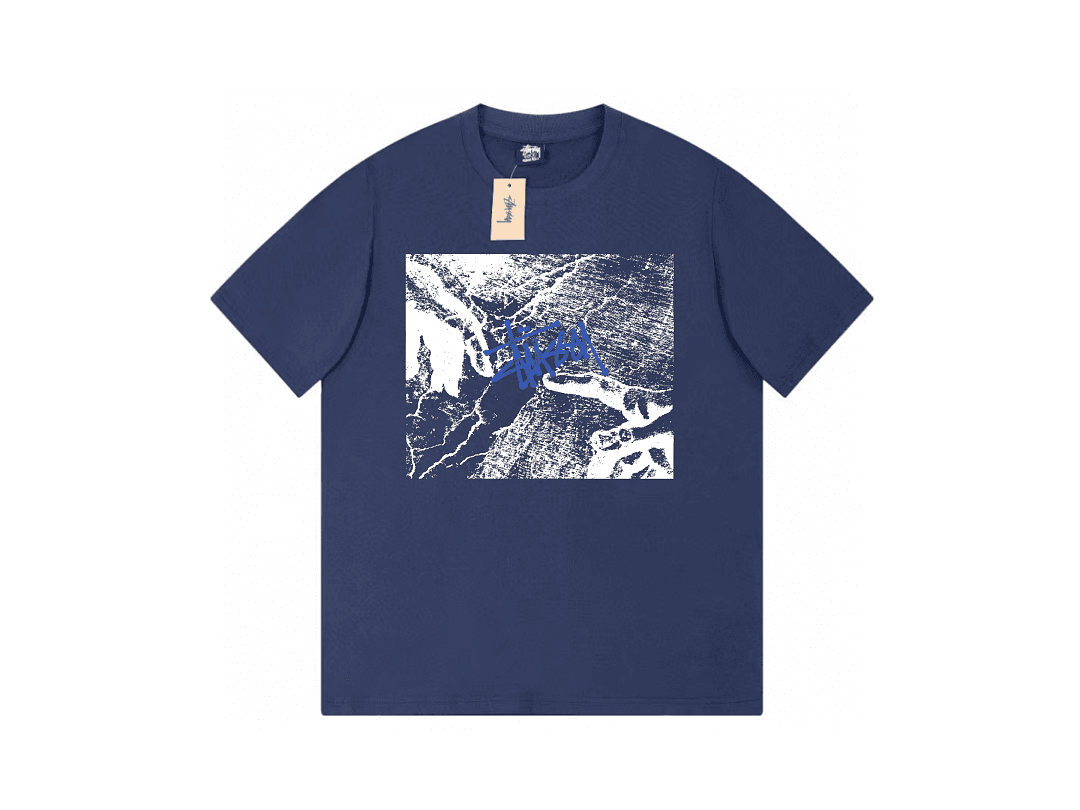 T-Shirt Stussy Michelangelo's Adam Fresco foto 02