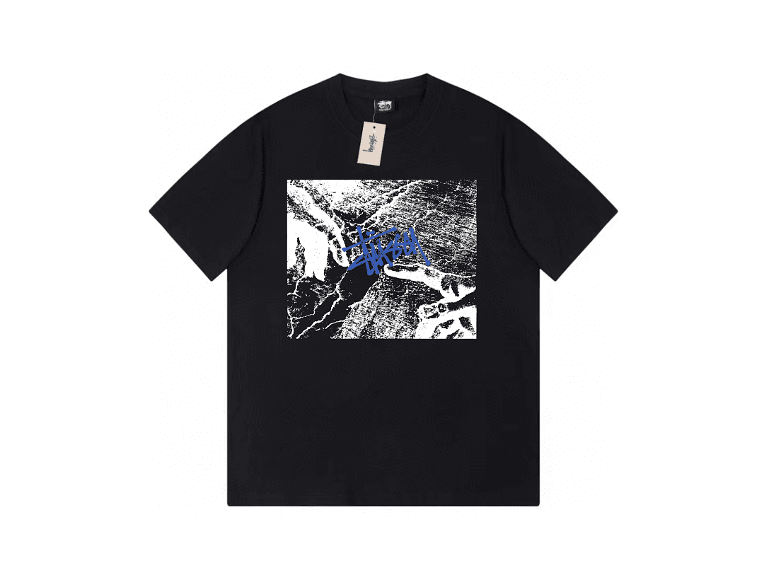 T-Shirt Stussy Michelangelo's Adam Fresco foto 03