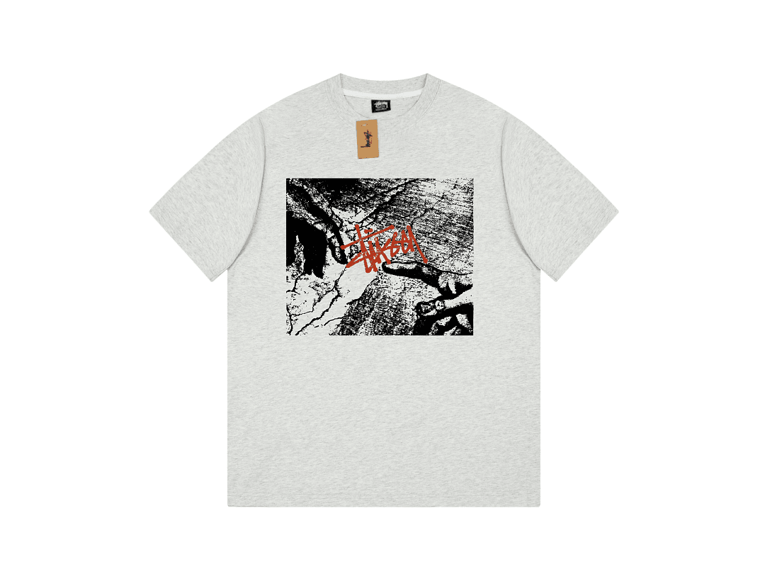 T-Shirt Stussy Michelangelo's Adam Fresco foto 07