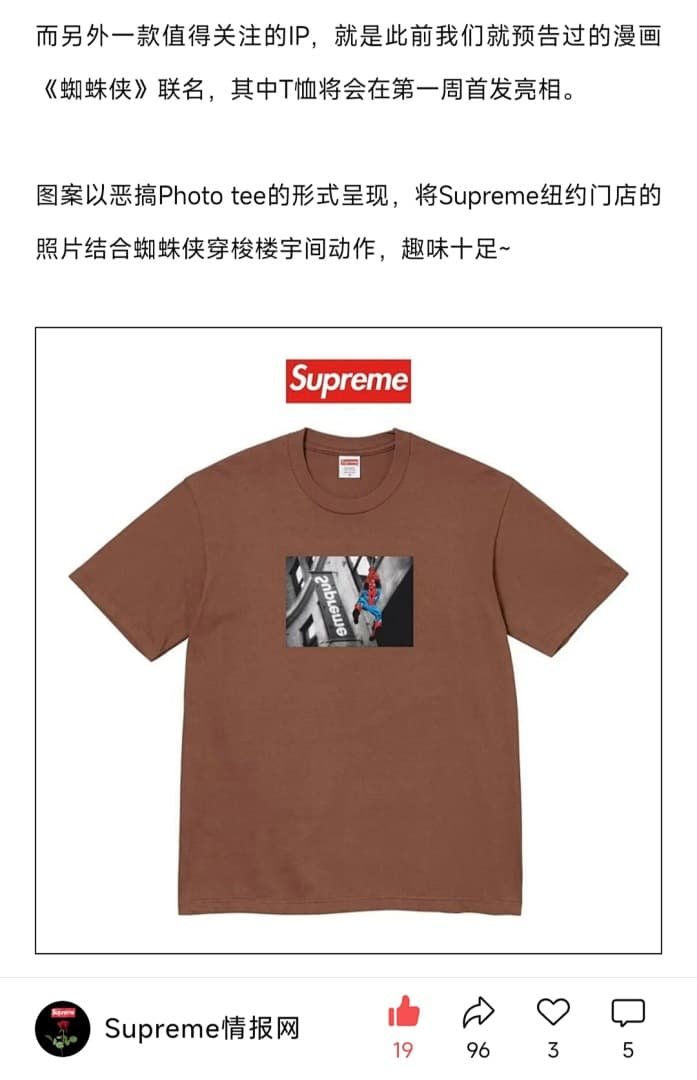 Camiseta Supreme SS26 Spiderman foto 19