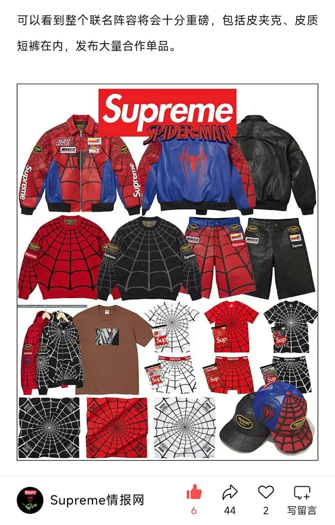 Camiseta Supreme SS26 Spiderman foto 21