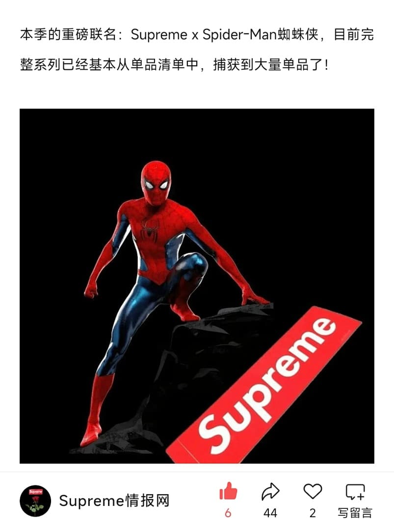 Camiseta Supreme SS26 Spiderman foto 22